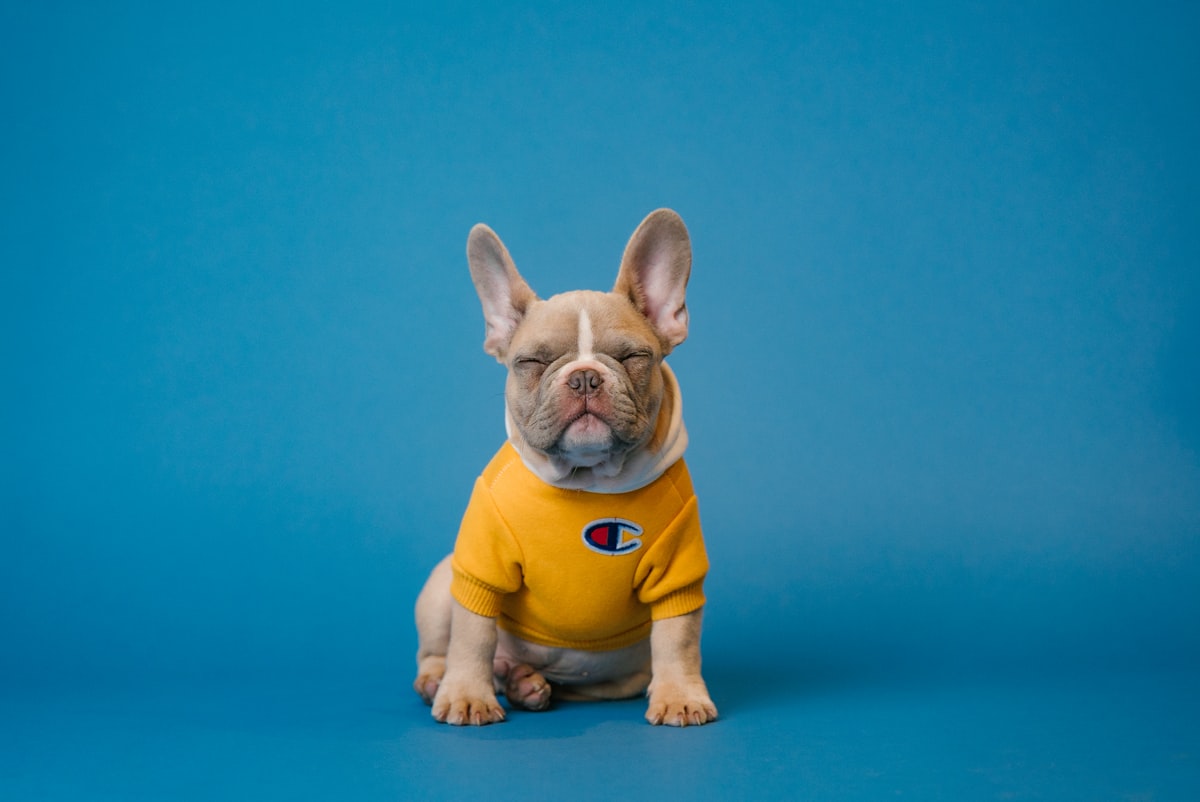 Pet Care Brand formulation and sourcing